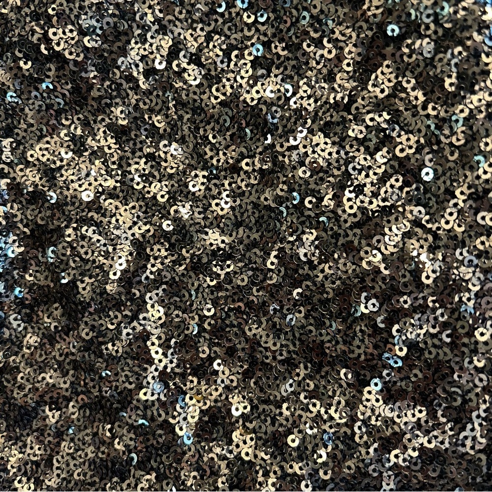 NEW Banana Republic | High-Rise Wide Leg Sequin Pants - Picture 13 of 13